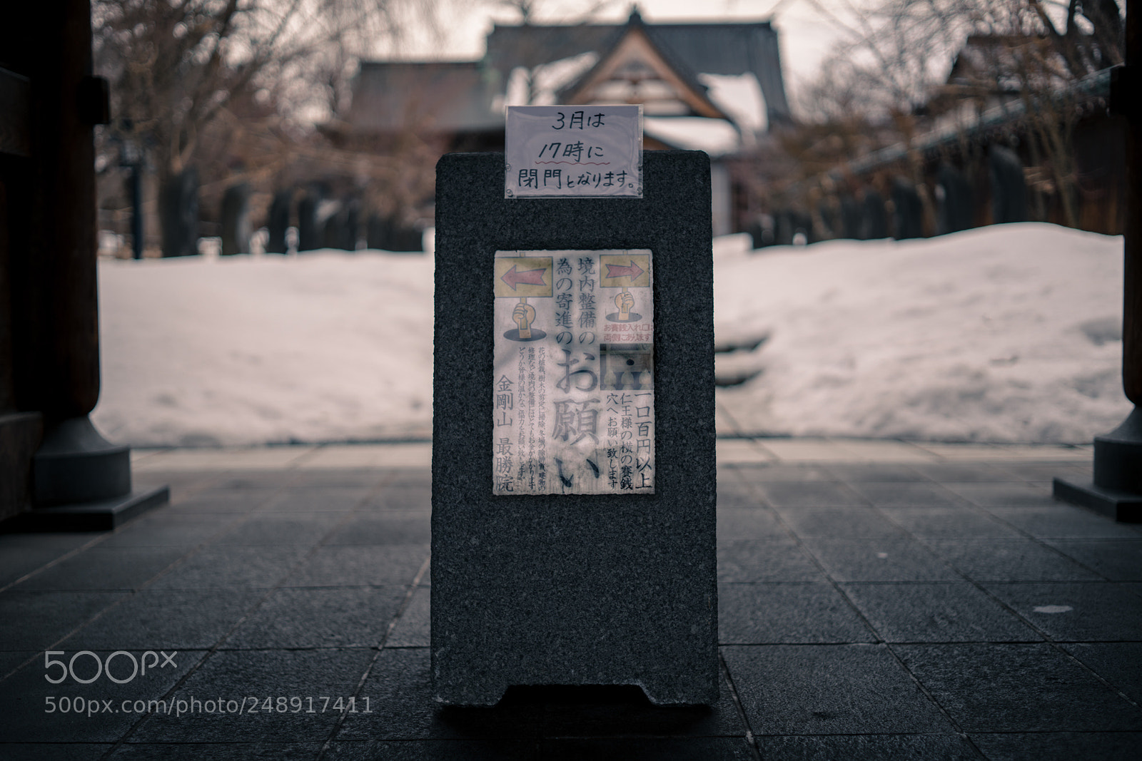 Sony a7R II sample photo. Please donate photography