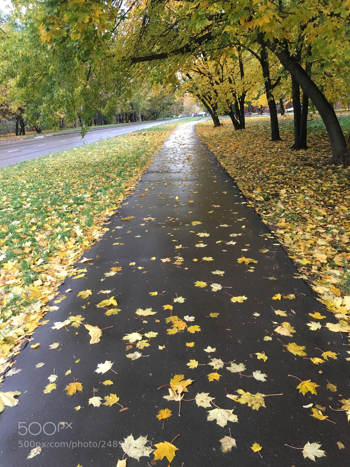 Apple iPhone 6s sample photo. Autumn in the city photography