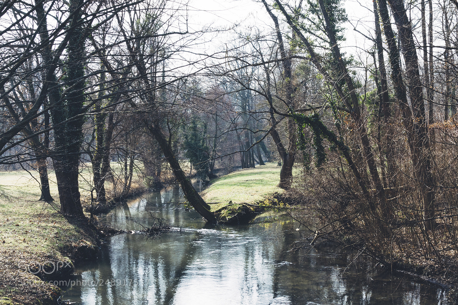 Nikon D7100 sample photo. Transition 2 photography