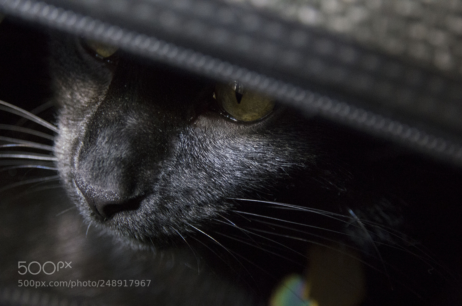 Pentax K-5 sample photo. Ravage in a suitcase photography