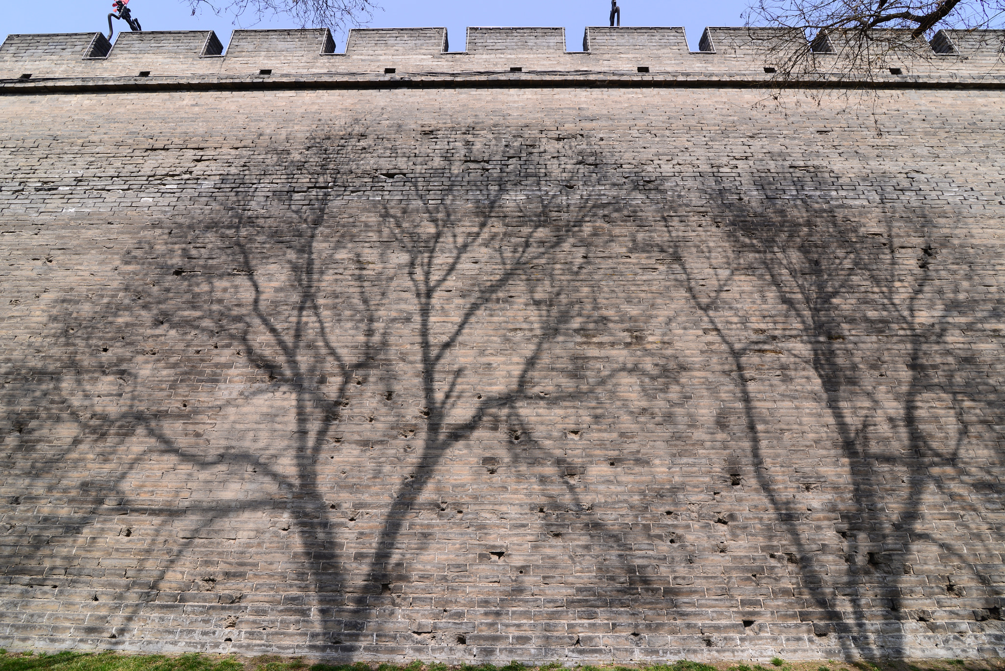 Nikon D800 sample photo. Dsc血脉 photography