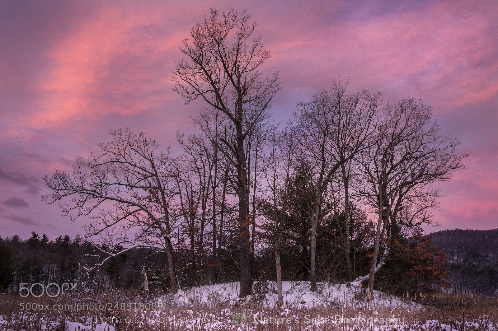 Nikon D3200 sample photo. Oak island photography