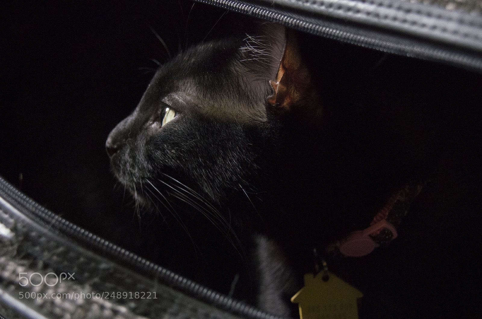Pentax K-5 sample photo. See the sunlight photography