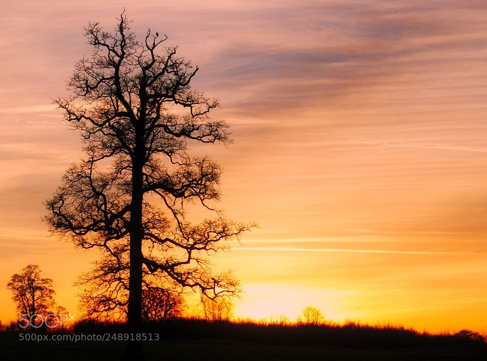 Nikon D3000 sample photo. Winter sunset photography