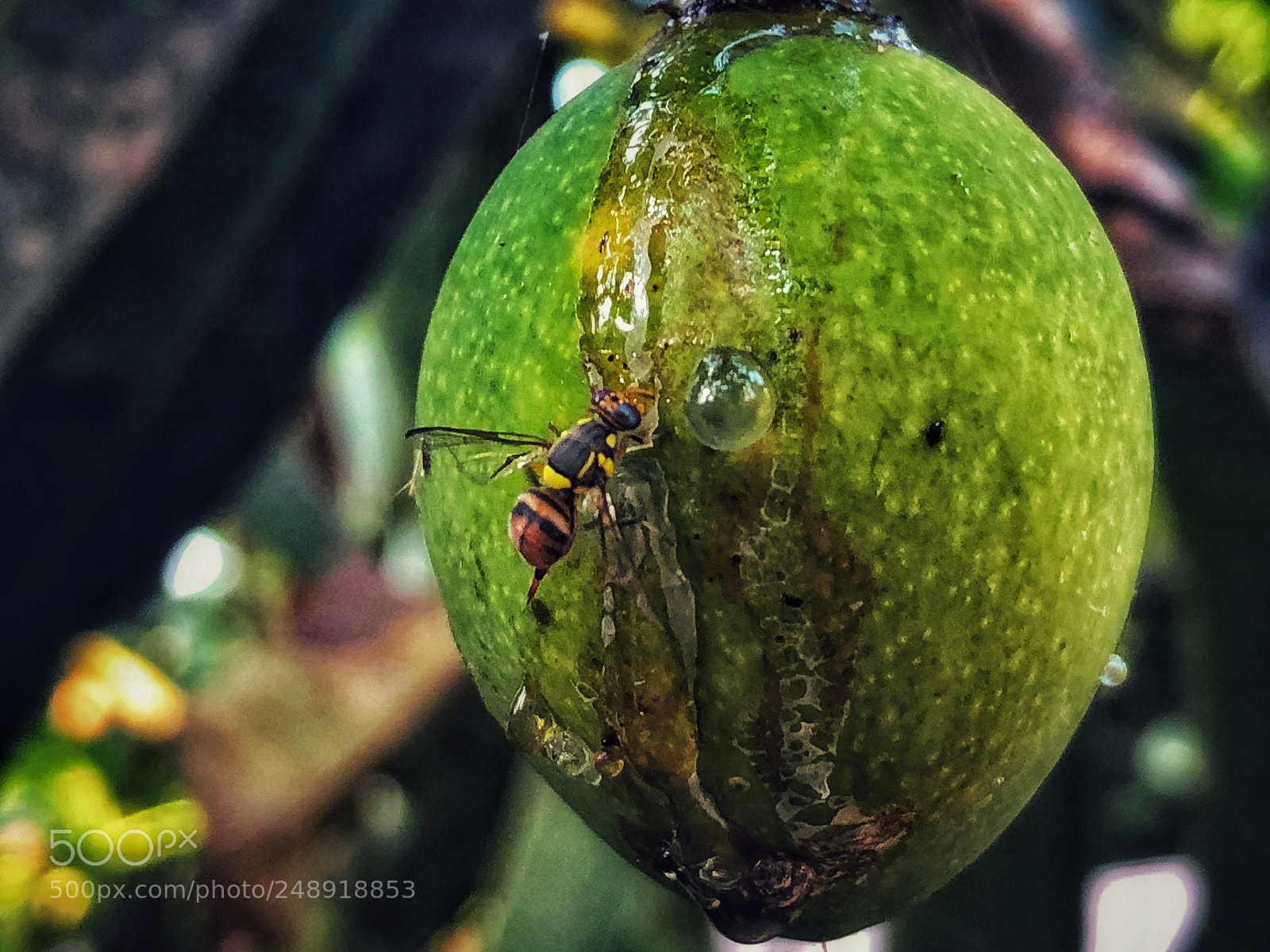 Apple iPhone X sample photo. Untitled photography