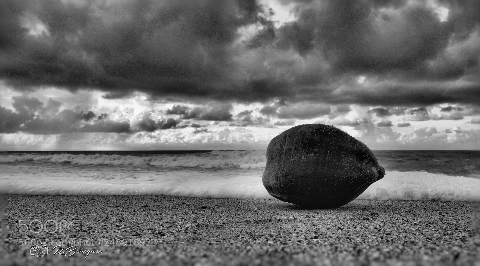 Nikon D5100 sample photo. Coco alone photography