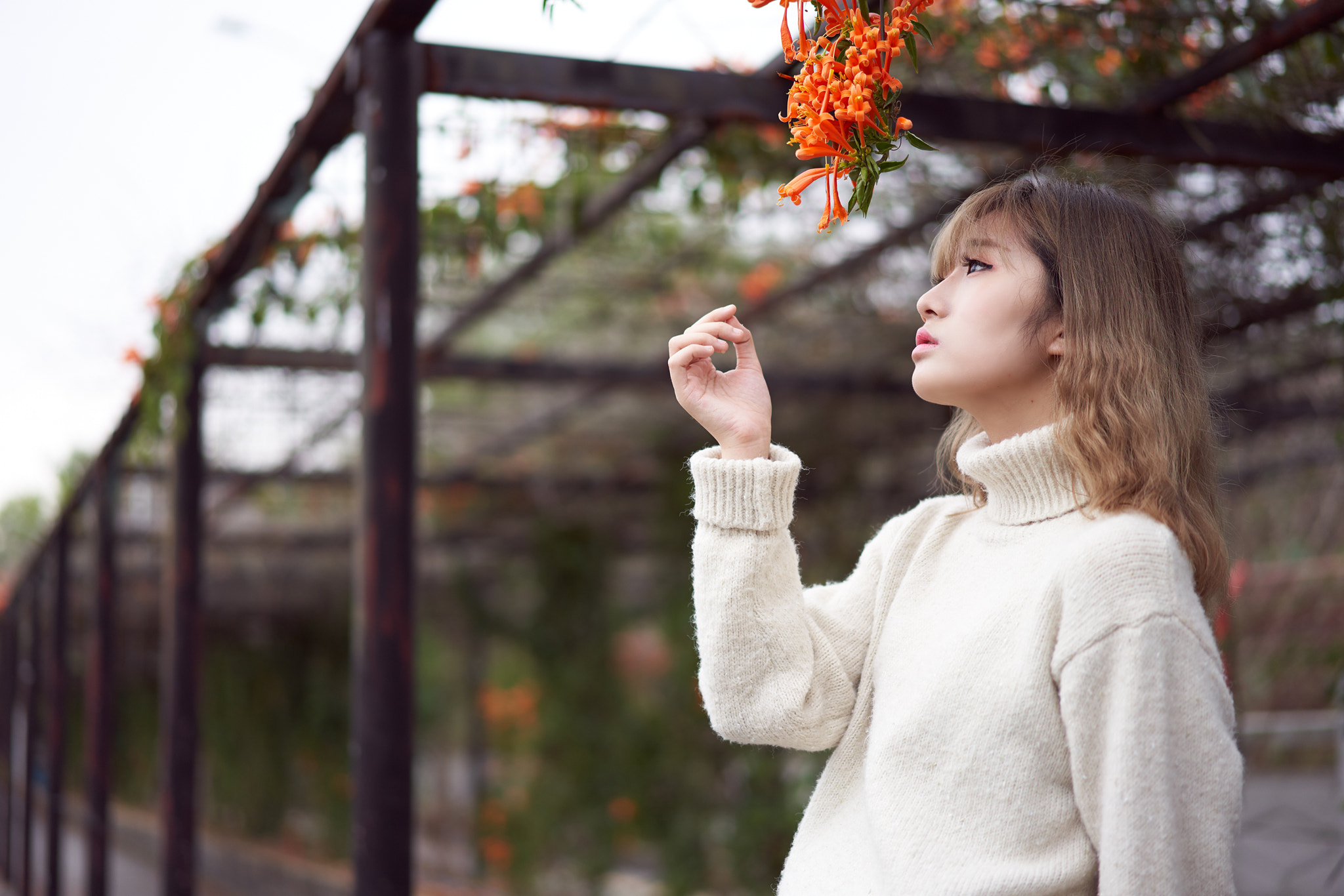 Sony Sonnar T* FE 55mm F1.8 ZA sample photo