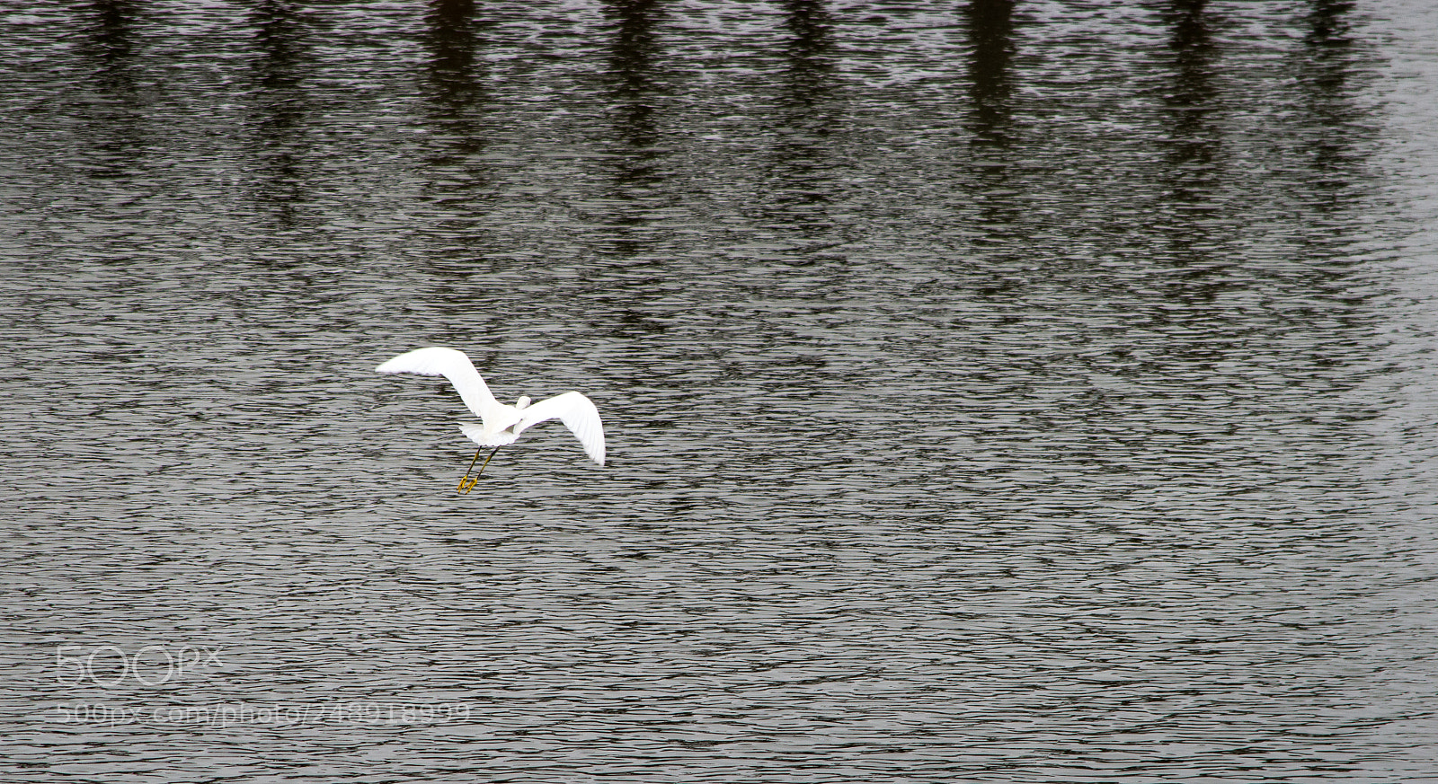 Nikon D3200 sample photo. Contrast photography