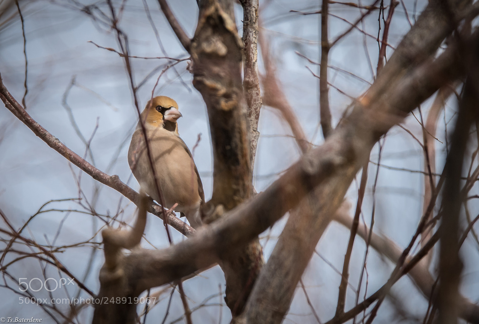 Nikon D810 sample photo. Untitled photography