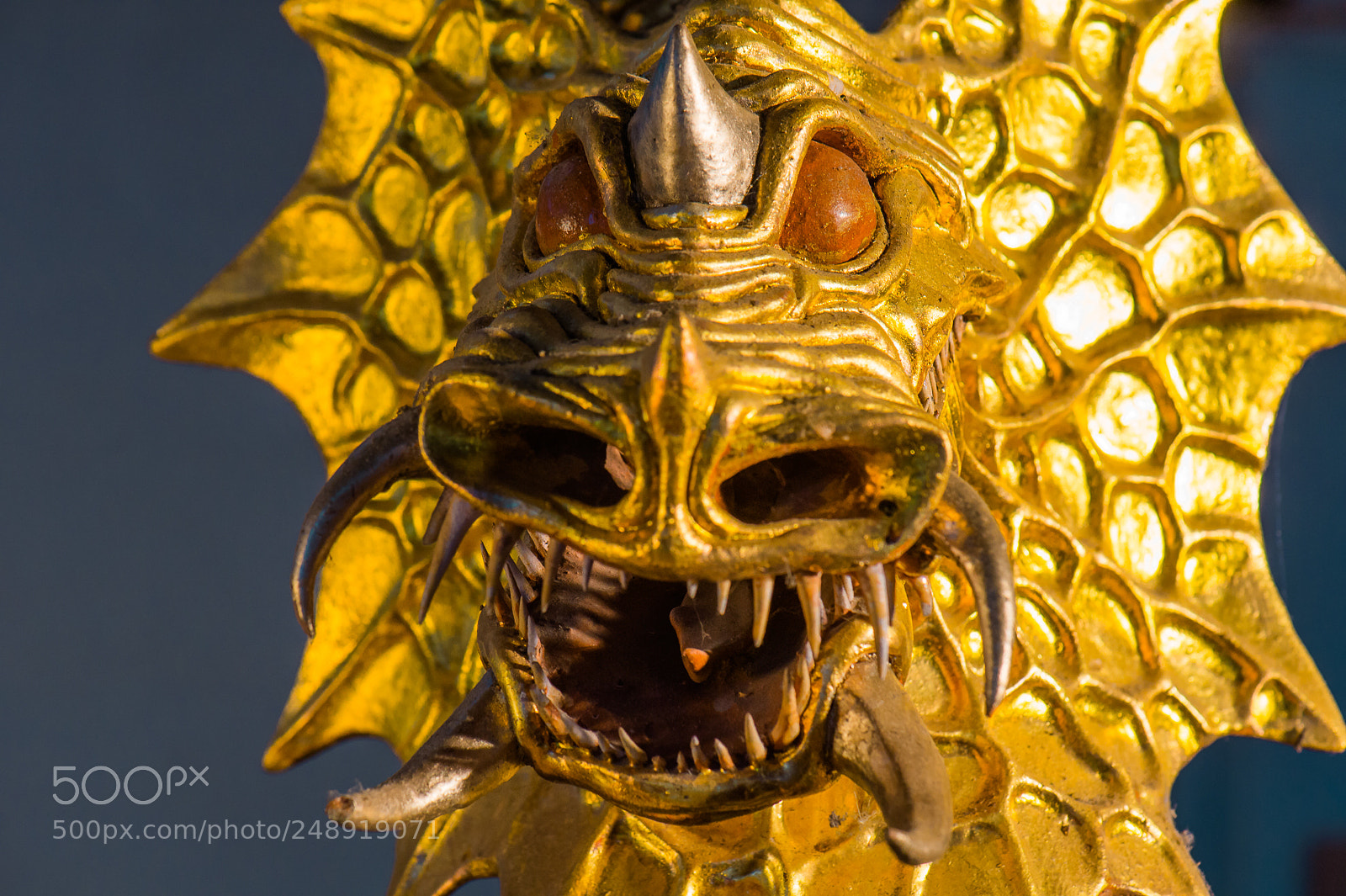 Nikon D4 sample photo. Golden dragon by daniel photography