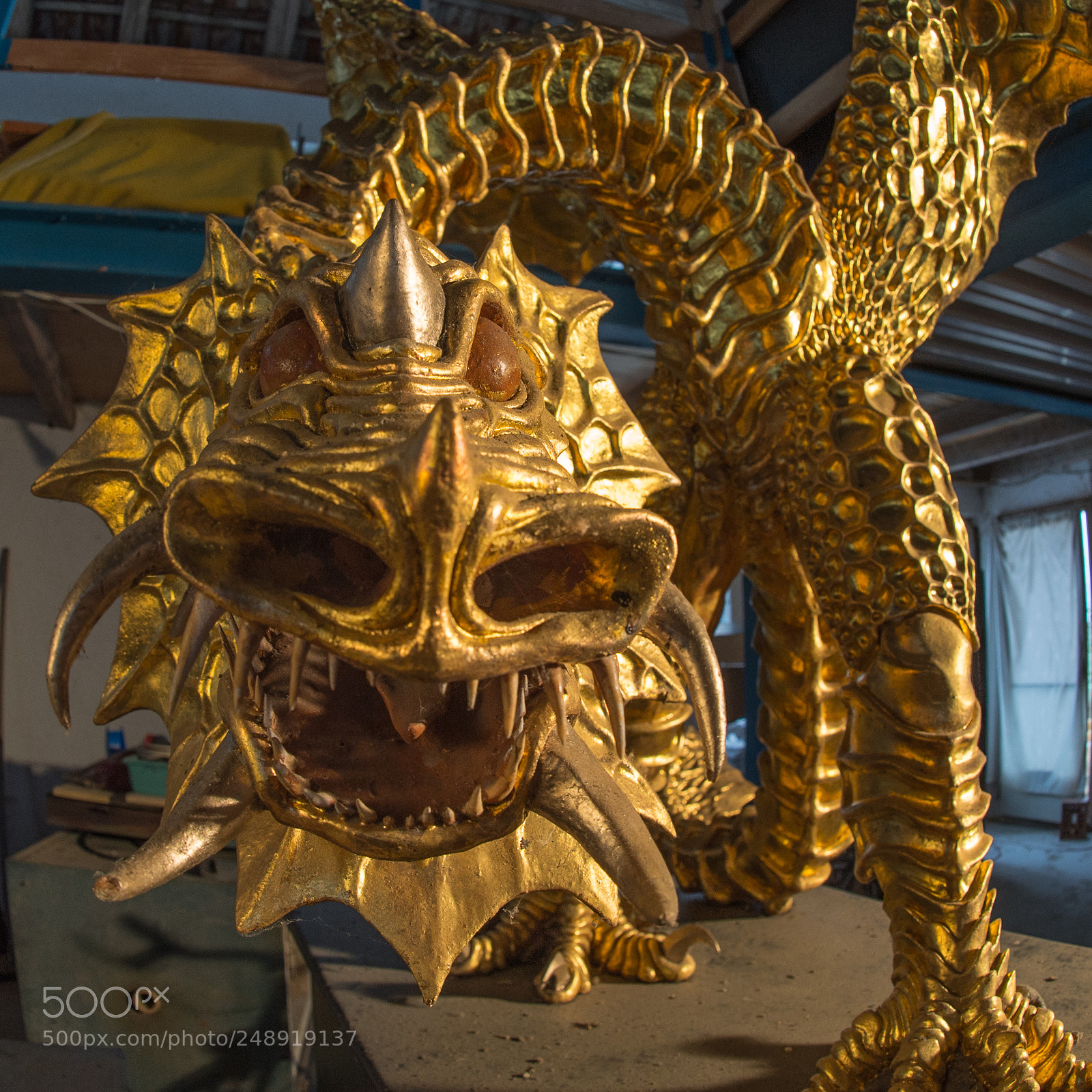 Nikon D4 sample photo. Golden dragon by daniel photography