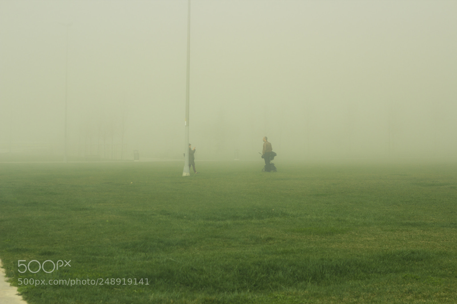 Canon EOS 600D (Rebel EOS T3i / EOS Kiss X5) sample photo. Greens and dust photography