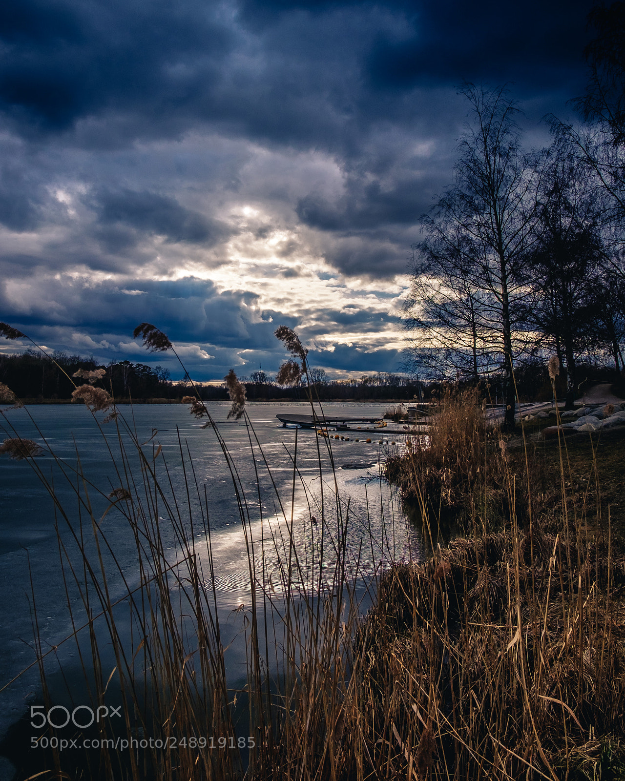 Fujifilm X-T1 sample photo. Untitled photography