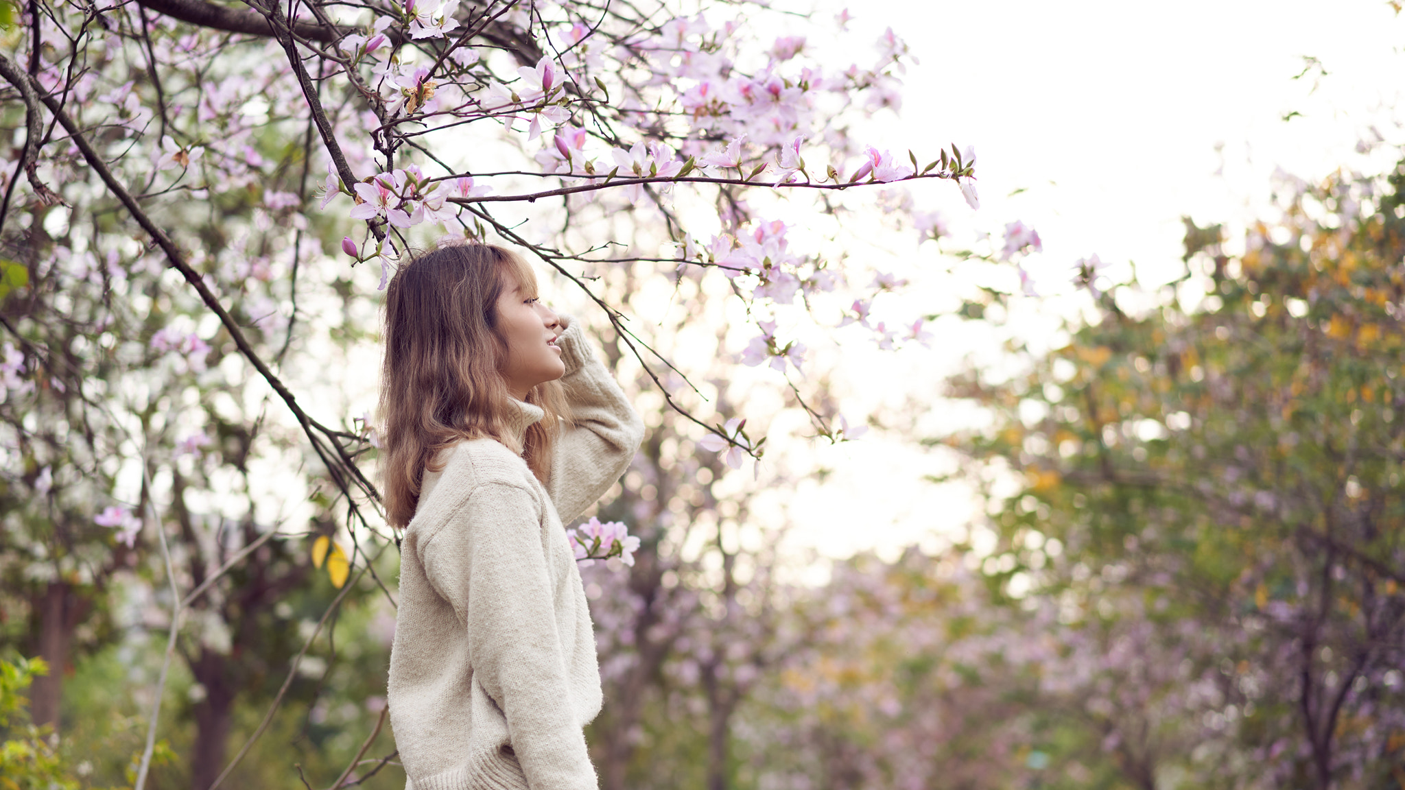 Sony Sonnar T* FE 55mm F1.8 ZA sample photo