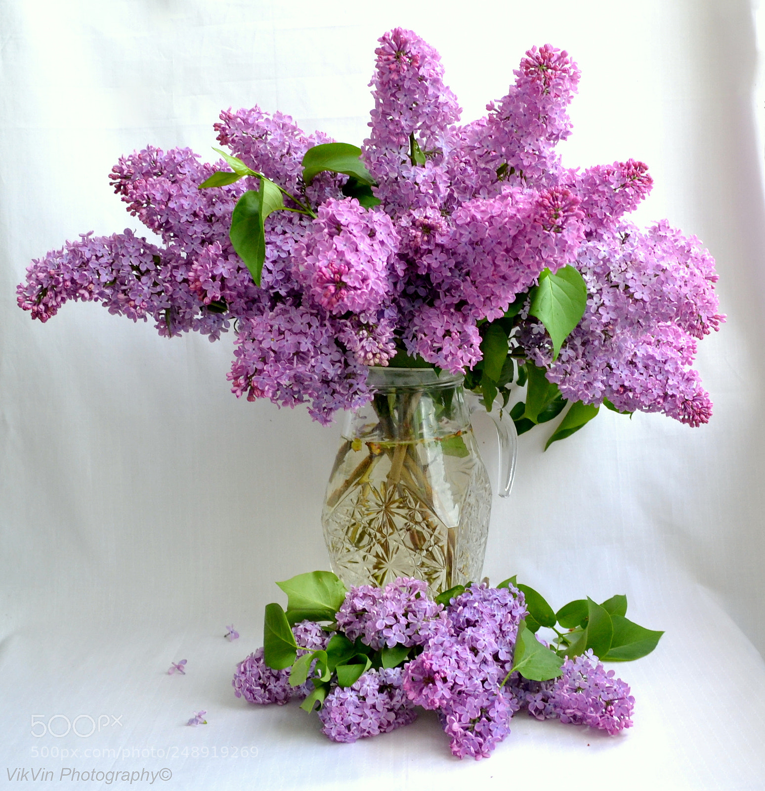 Nikon D3100 sample photo. Lilacs photography