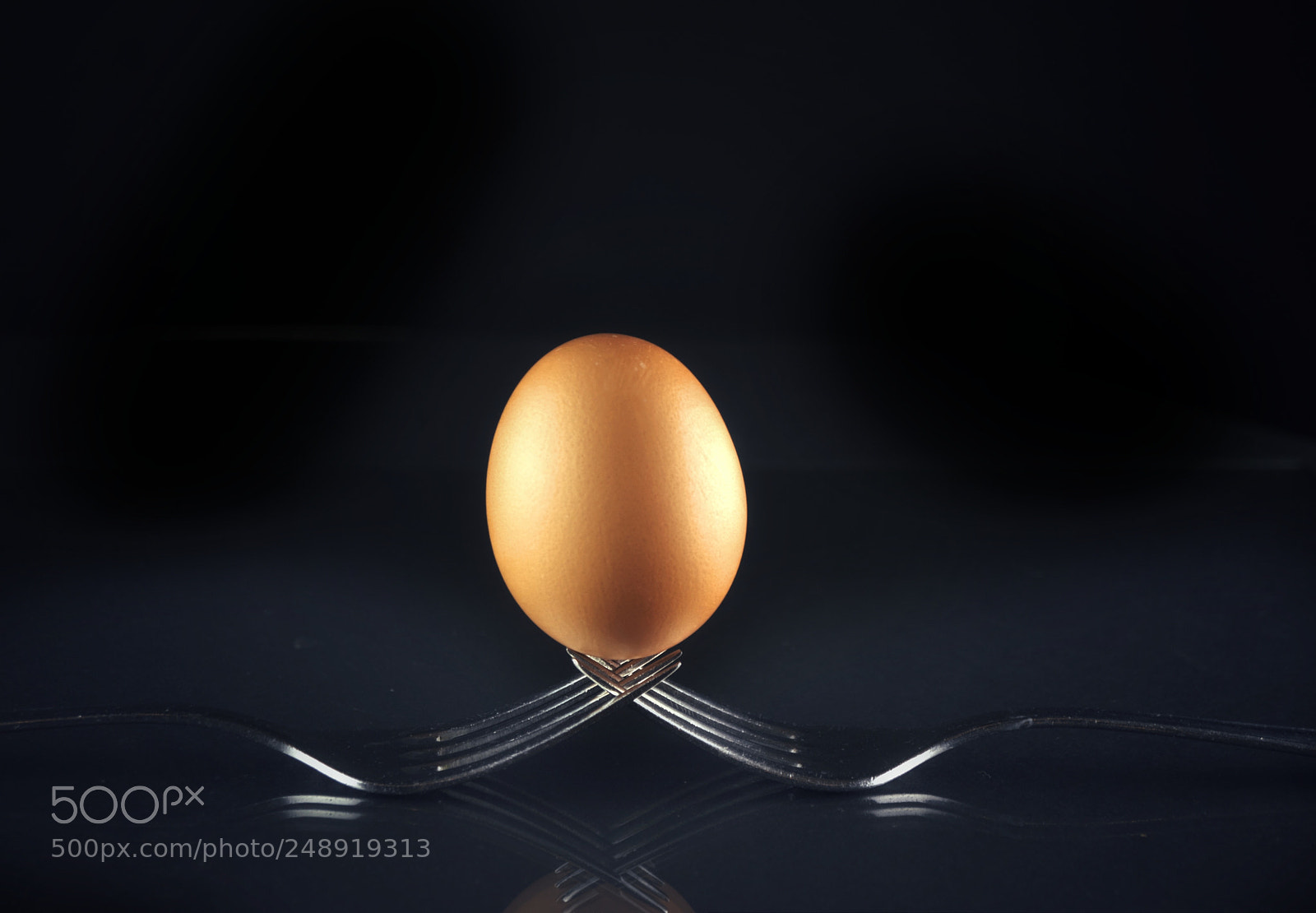 Sony Alpha DSLR-A230 sample photo. The high egg photography
