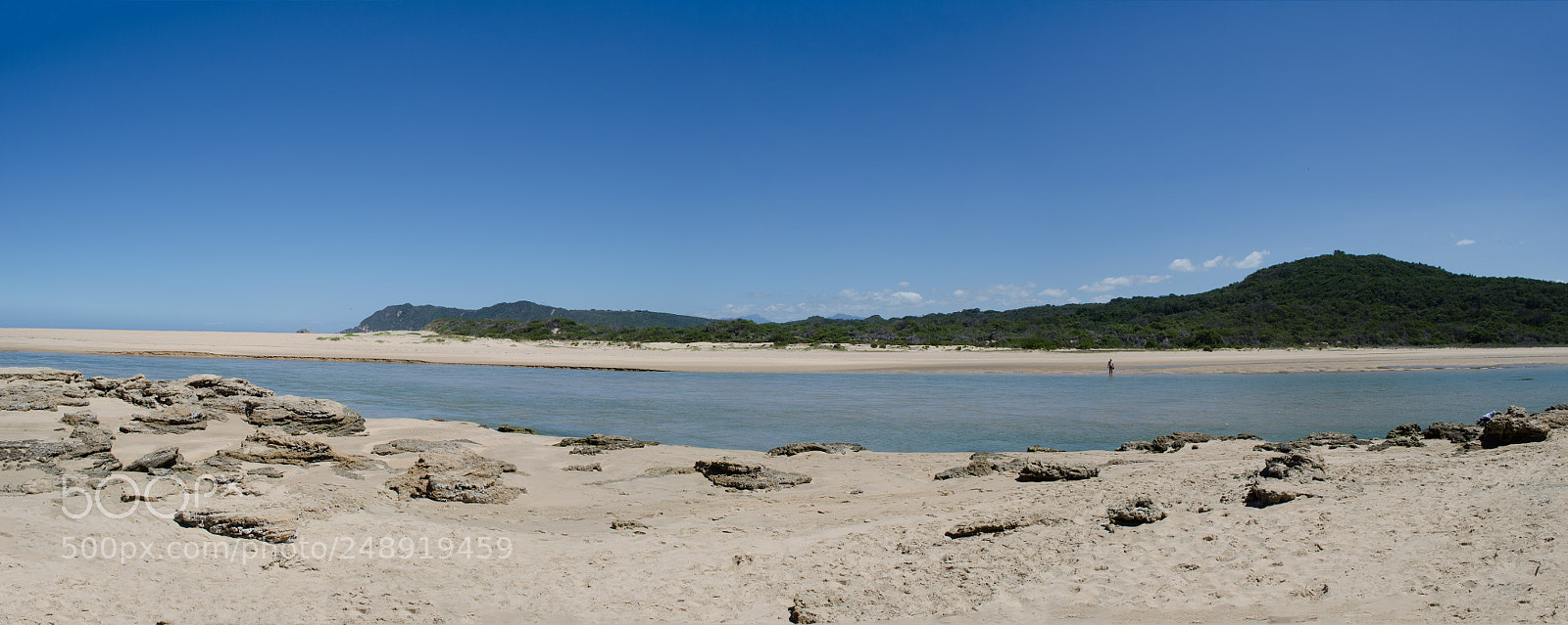 Nikon D5100 sample photo. Sedgefield photography