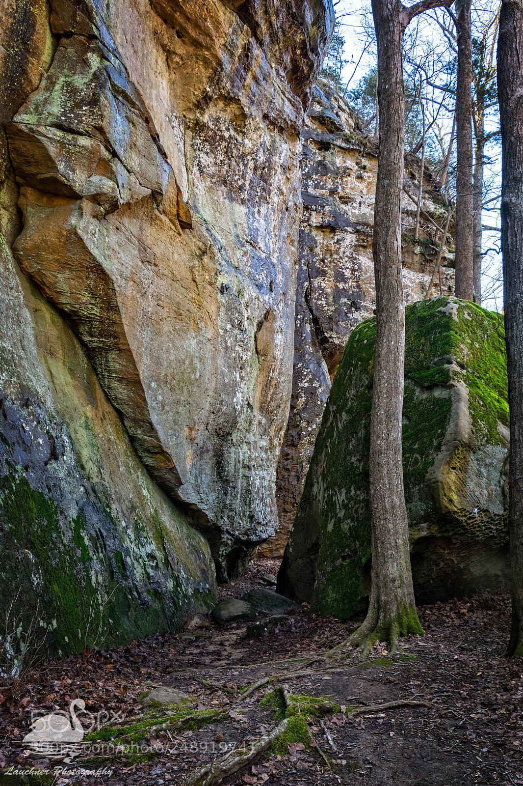 Nikon D5200 sample photo. The trail narrows photography