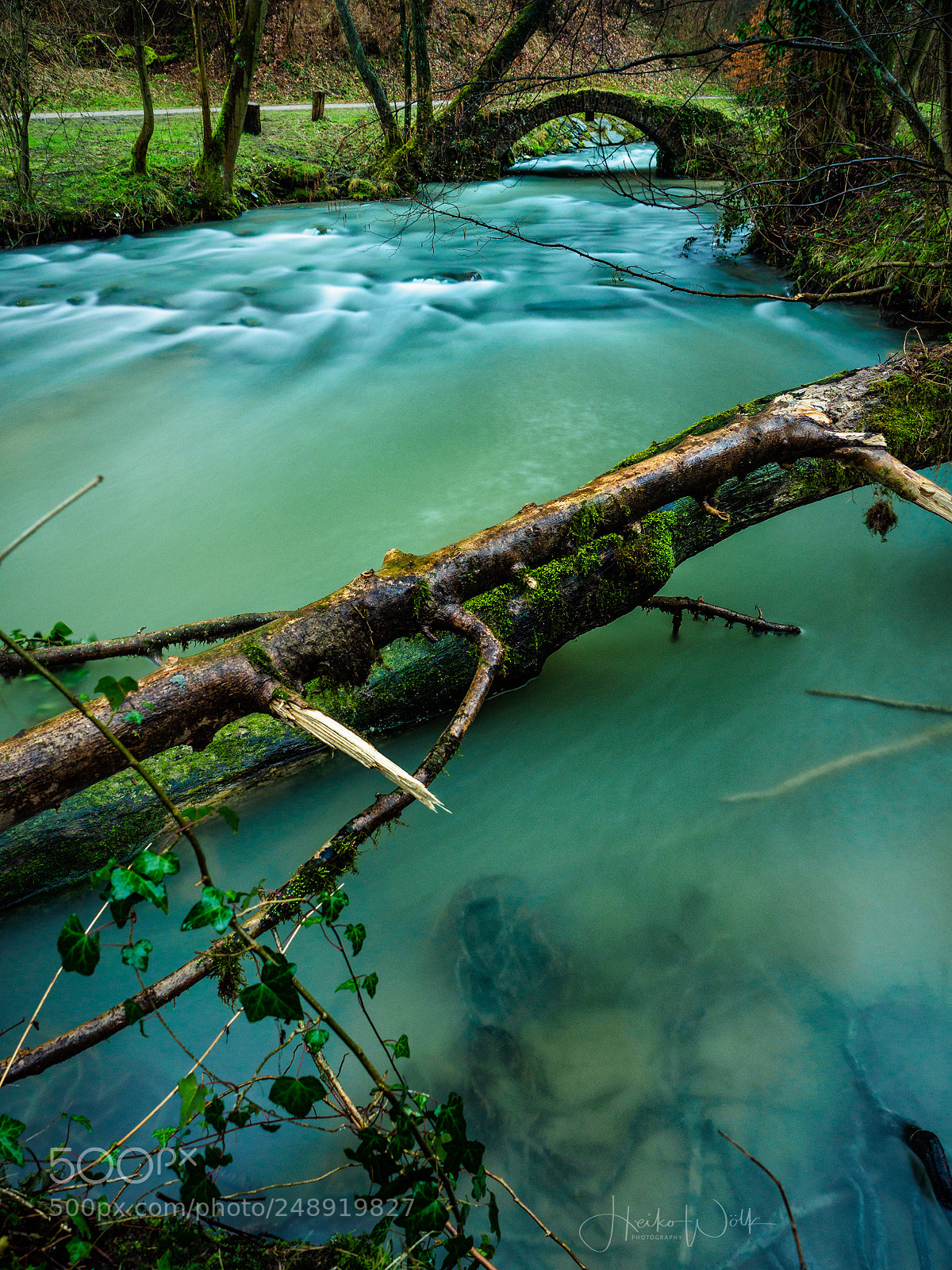 Olympus OM-D E-M1 Mark II sample photo. Footbridge photography