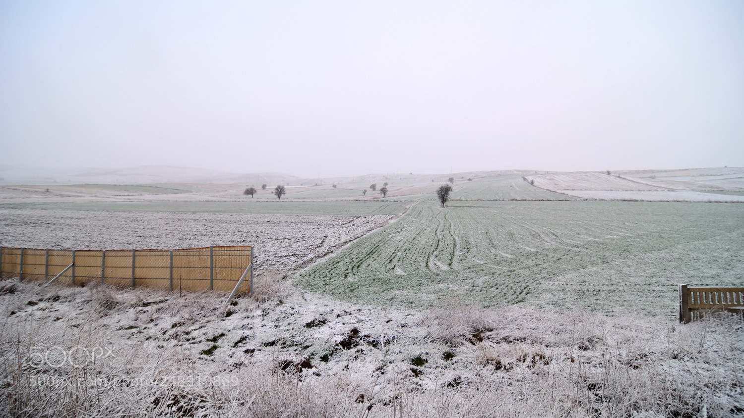 Nikon D7100 sample photo. Winter photography