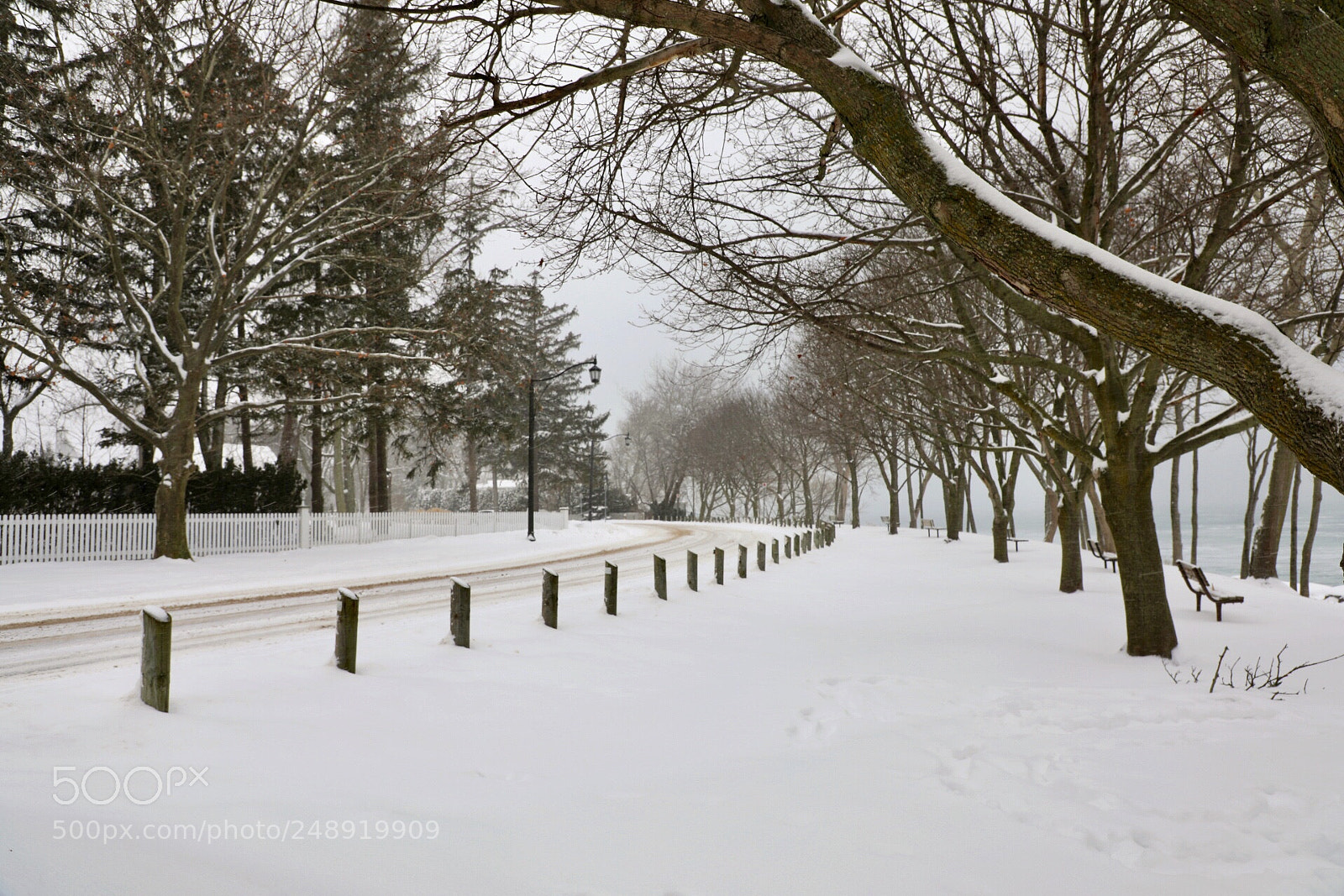 Canon EOS 5D Mark IV sample photo. Snowy park photography