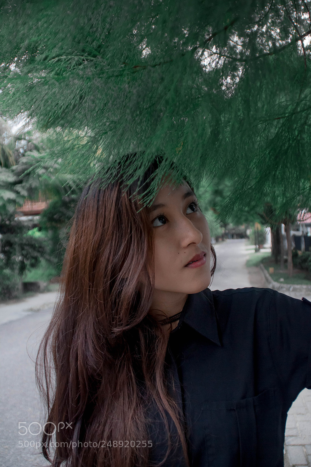 Canon EOS 550D (EOS Rebel T2i / EOS Kiss X4) sample photo. Greanyy photography