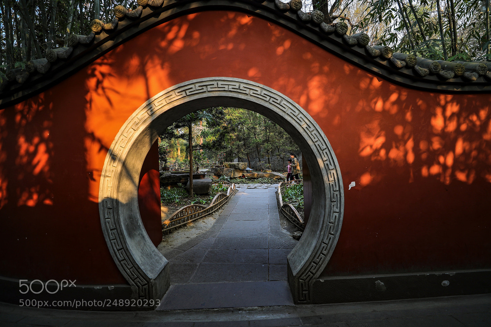Canon EOS-1D X Mark II sample photo. Untitled photography