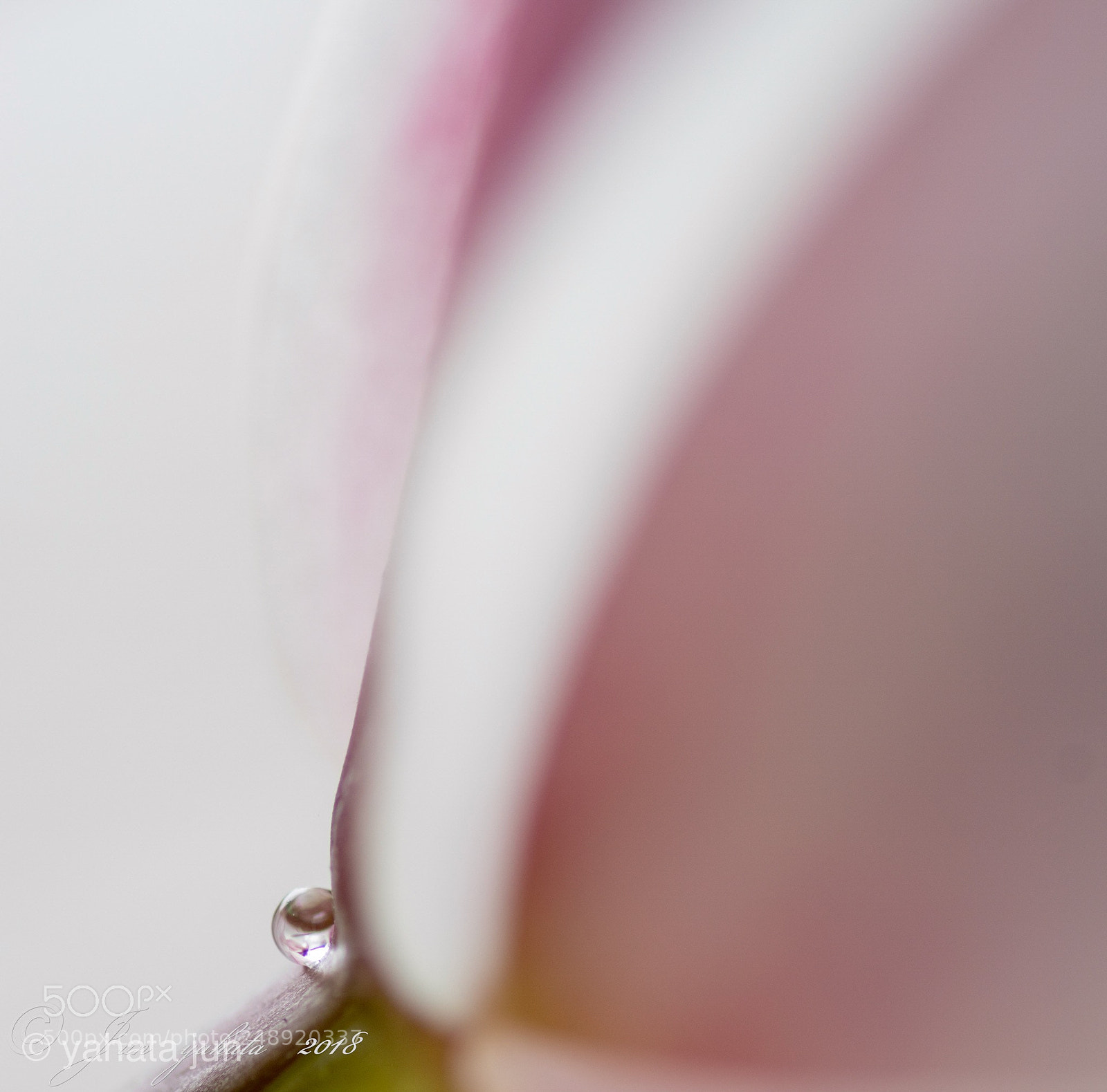 Sony ILCA-77M2 sample photo. Untitled photography