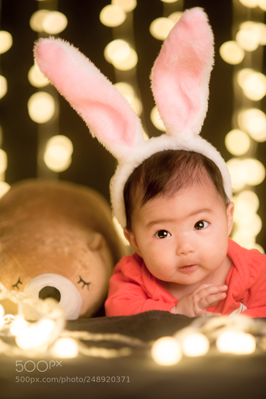 Nikon D800E sample photo. Untitled photography