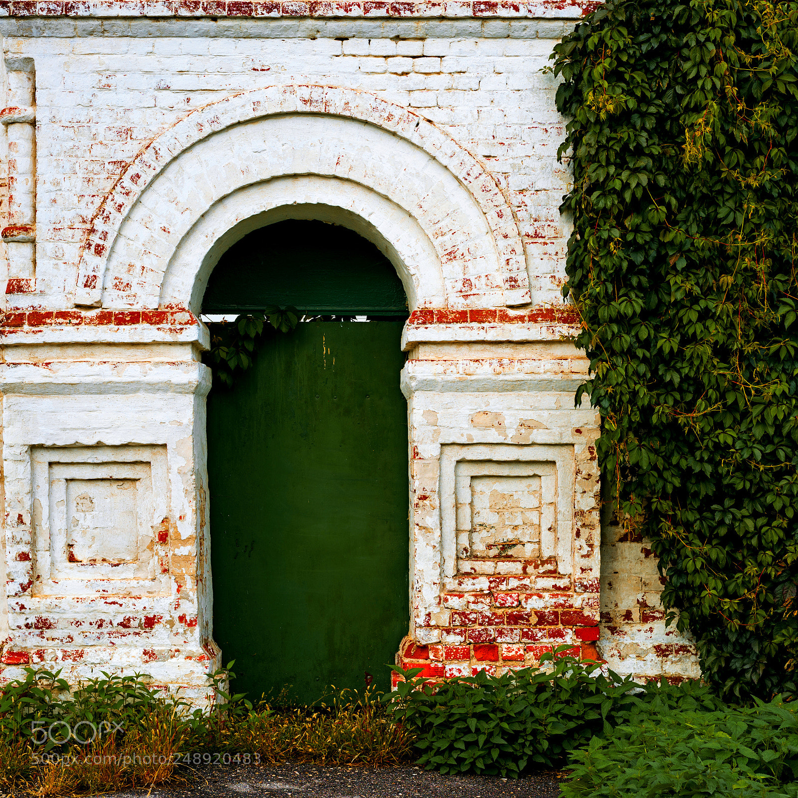 Sony a7R II sample photo. Ryazan 55 (door). photography