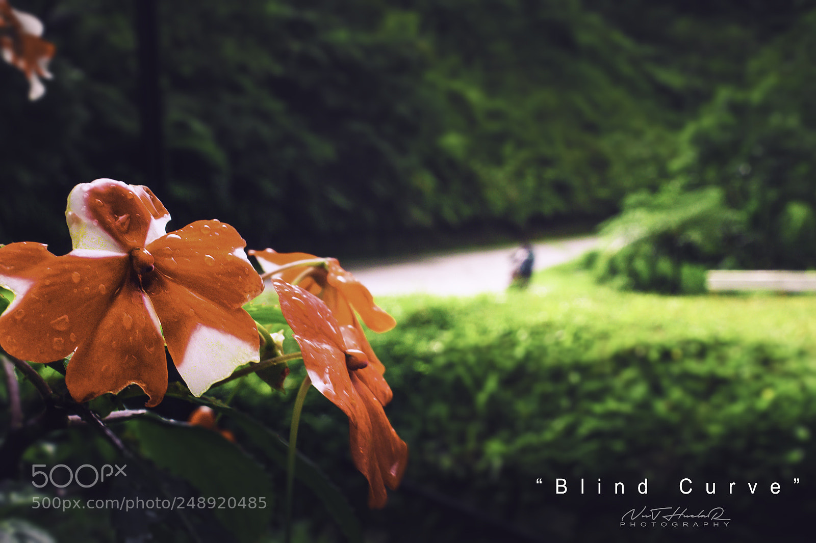 Canon EOS 700D (EOS Rebel T5i / EOS Kiss X7i) sample photo. Blind curve photography