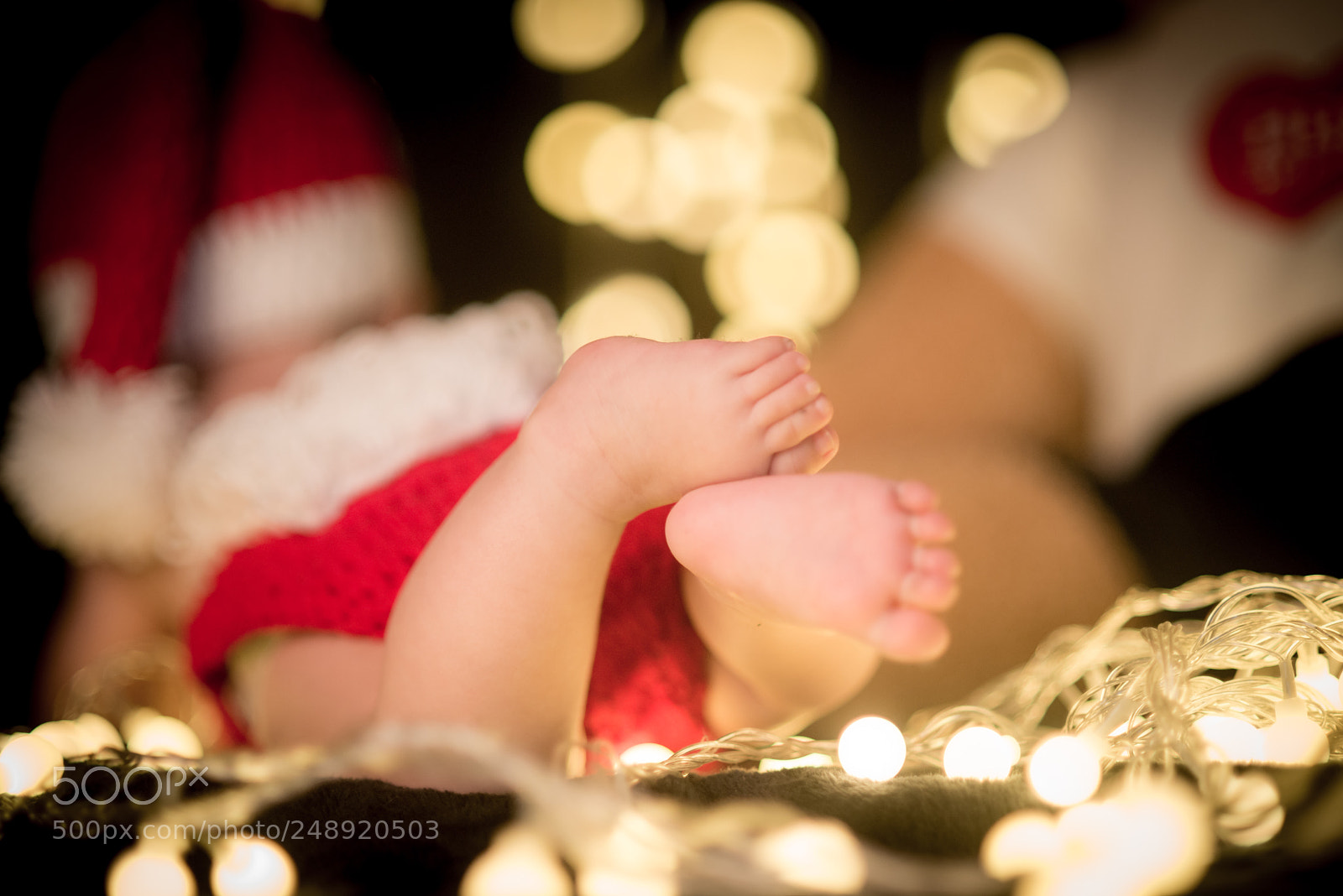 Nikon D800E sample photo. Untitled photography