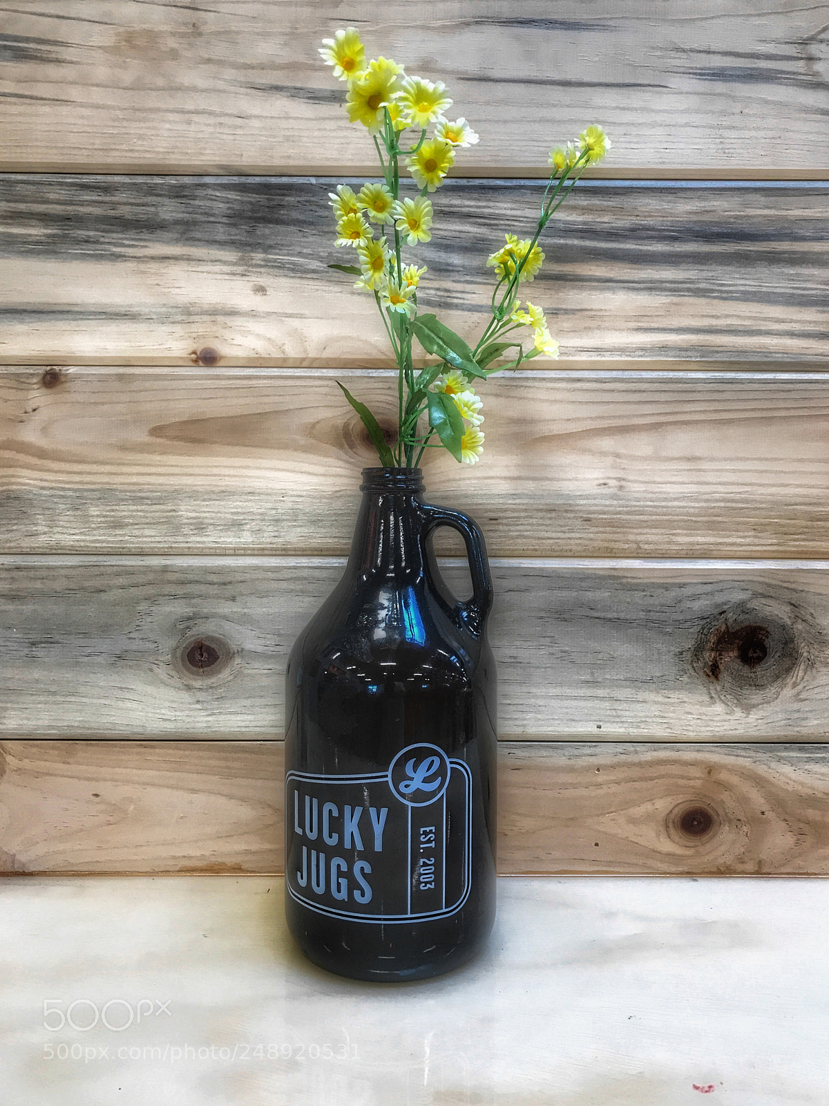 Apple iPhone 7 Plus sample photo. Flowers in a jug photography