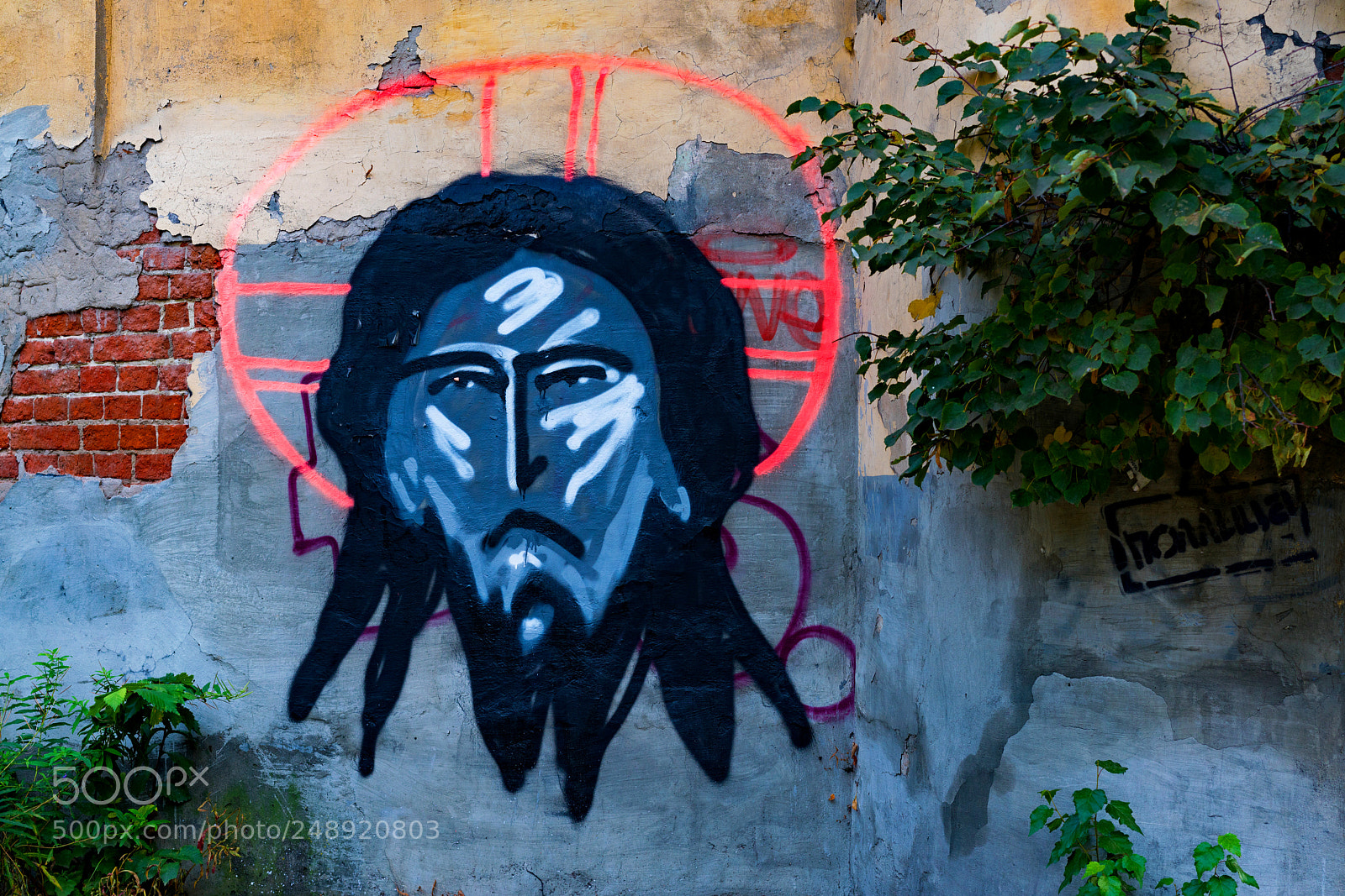 Sony a7R II sample photo. Ryazan 56 (look). photography