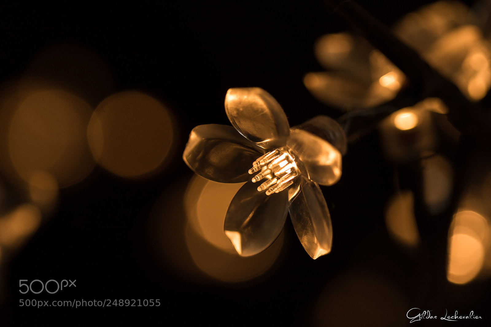 Canon EOS 760D (EOS Rebel T6s / EOS 8000D) sample photo. Photo challenge 1 day photography