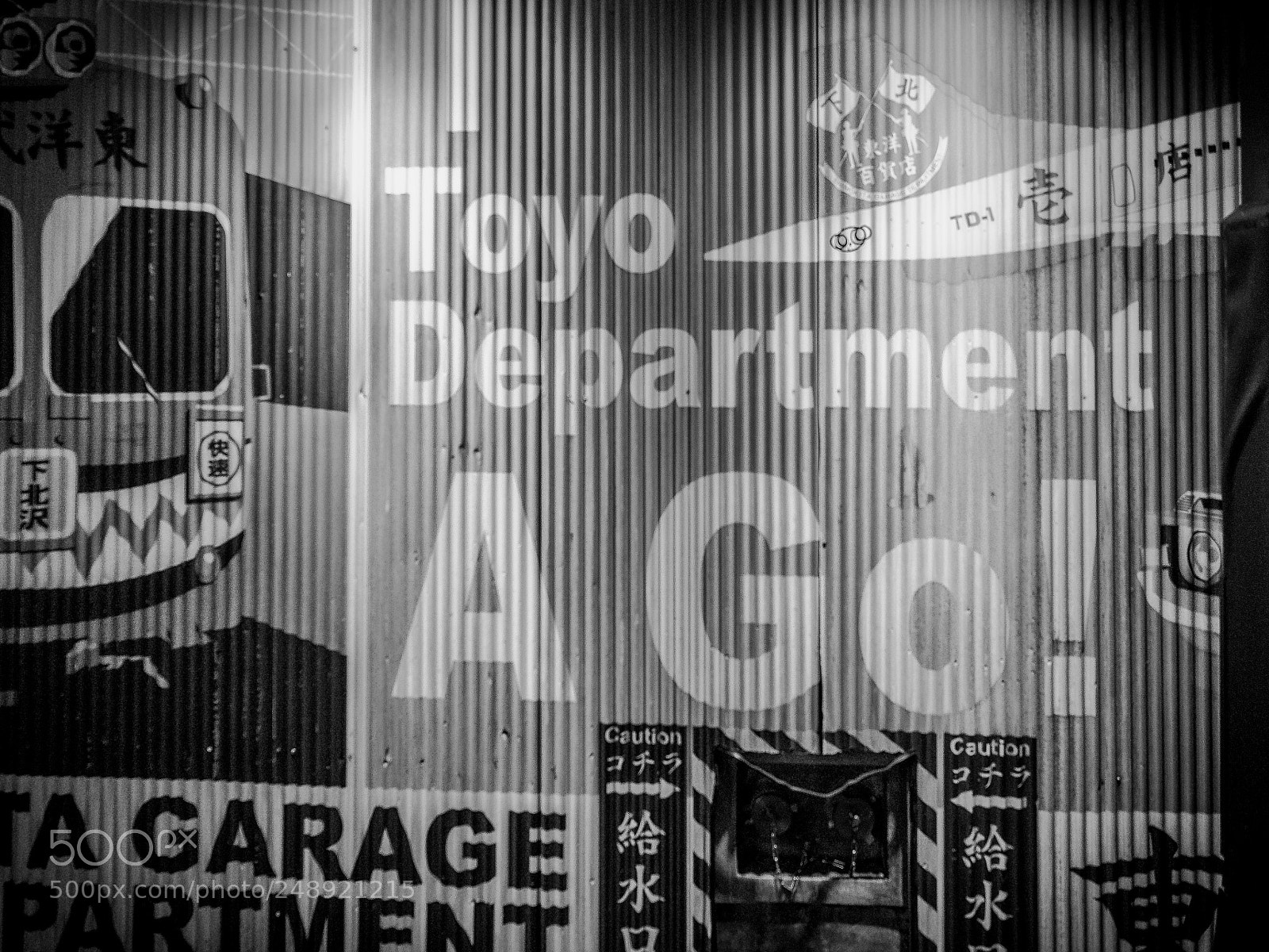 Olympus OM-D E-M5 II sample photo. Go! photography