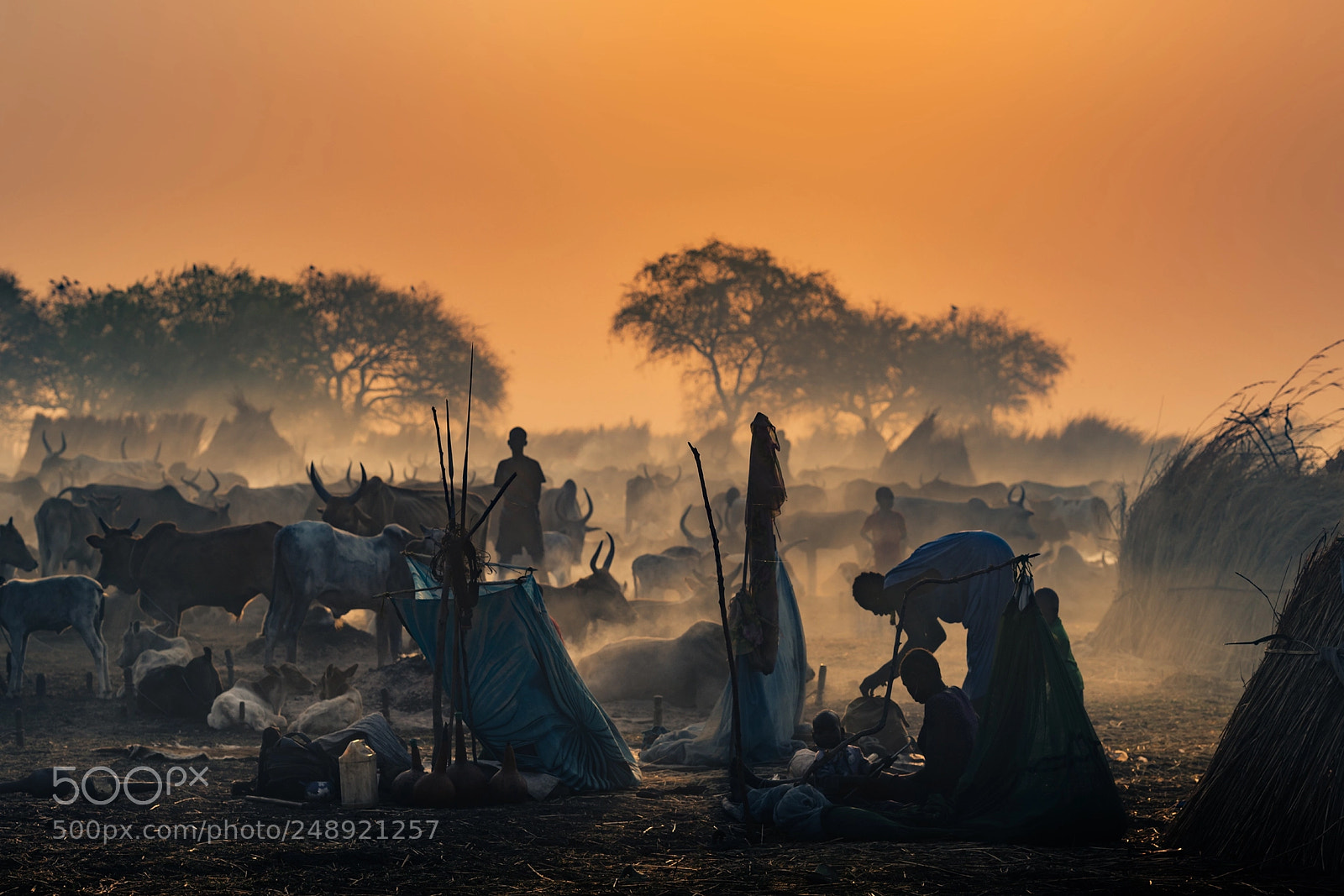 Nikon D800 sample photo. Summer village of nuer photography