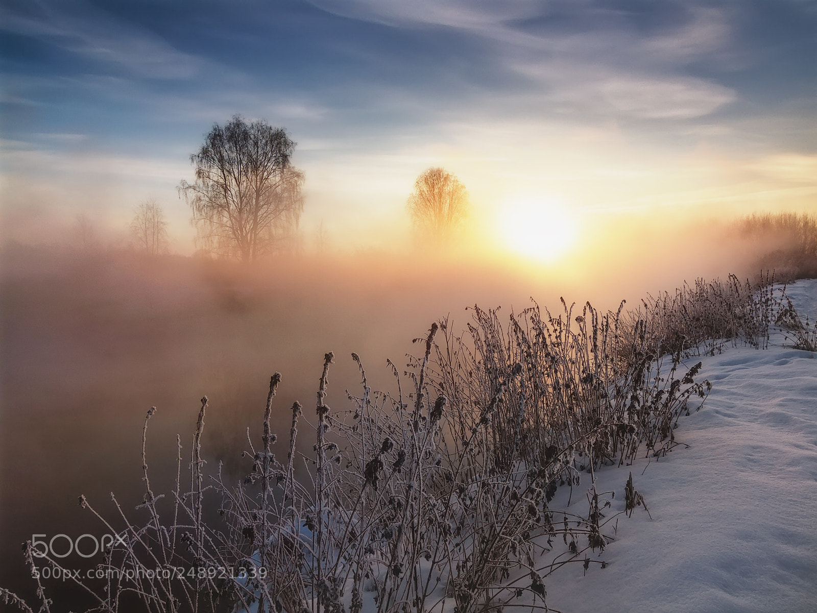 Canon EOS 7D sample photo. Foggy morning on the photography