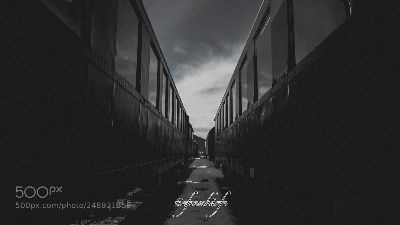 Sony a7R II sample photo. Abandoned old wagons photography