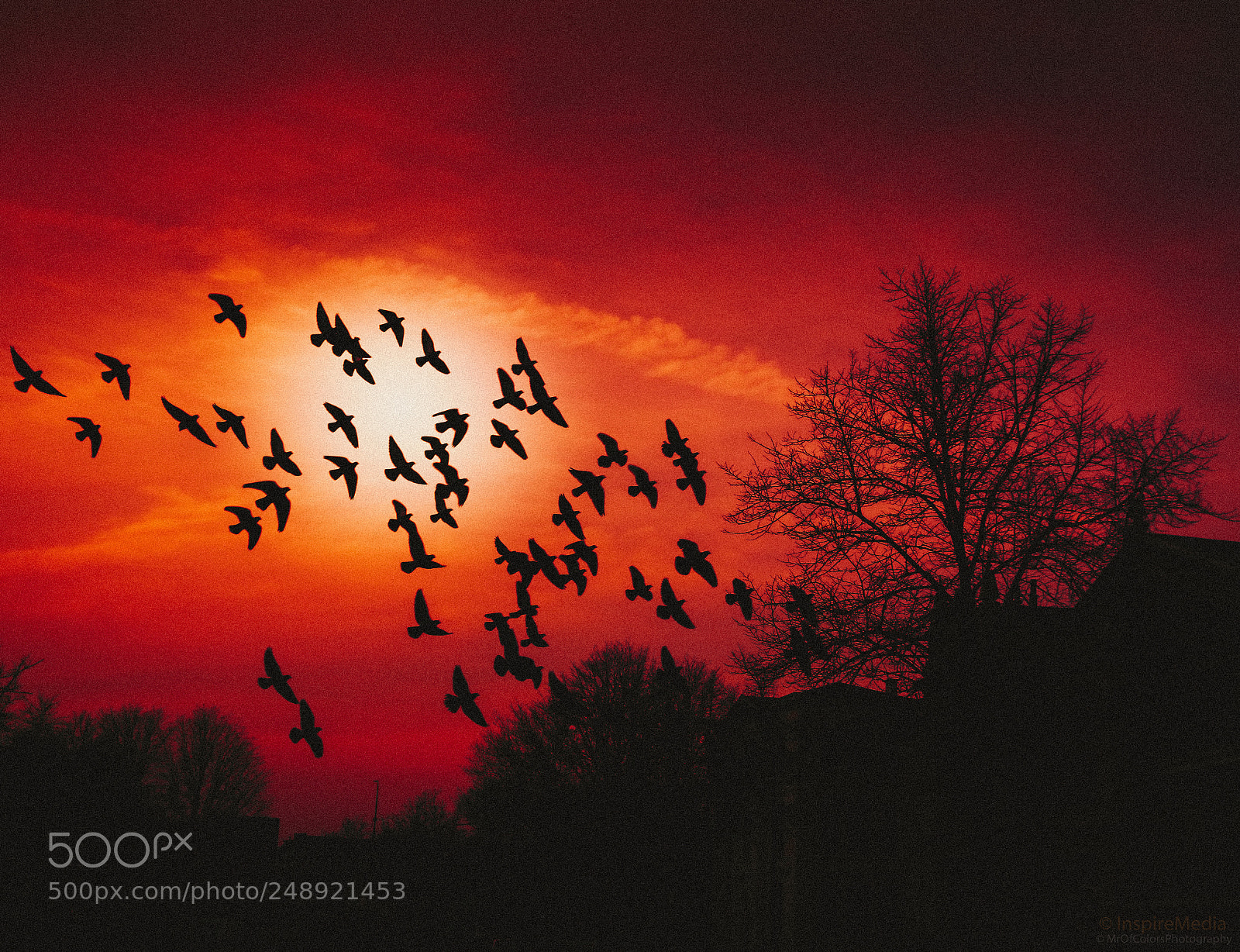 Canon EOS 80D sample photo. The fly by mrofcolorsphotography photography