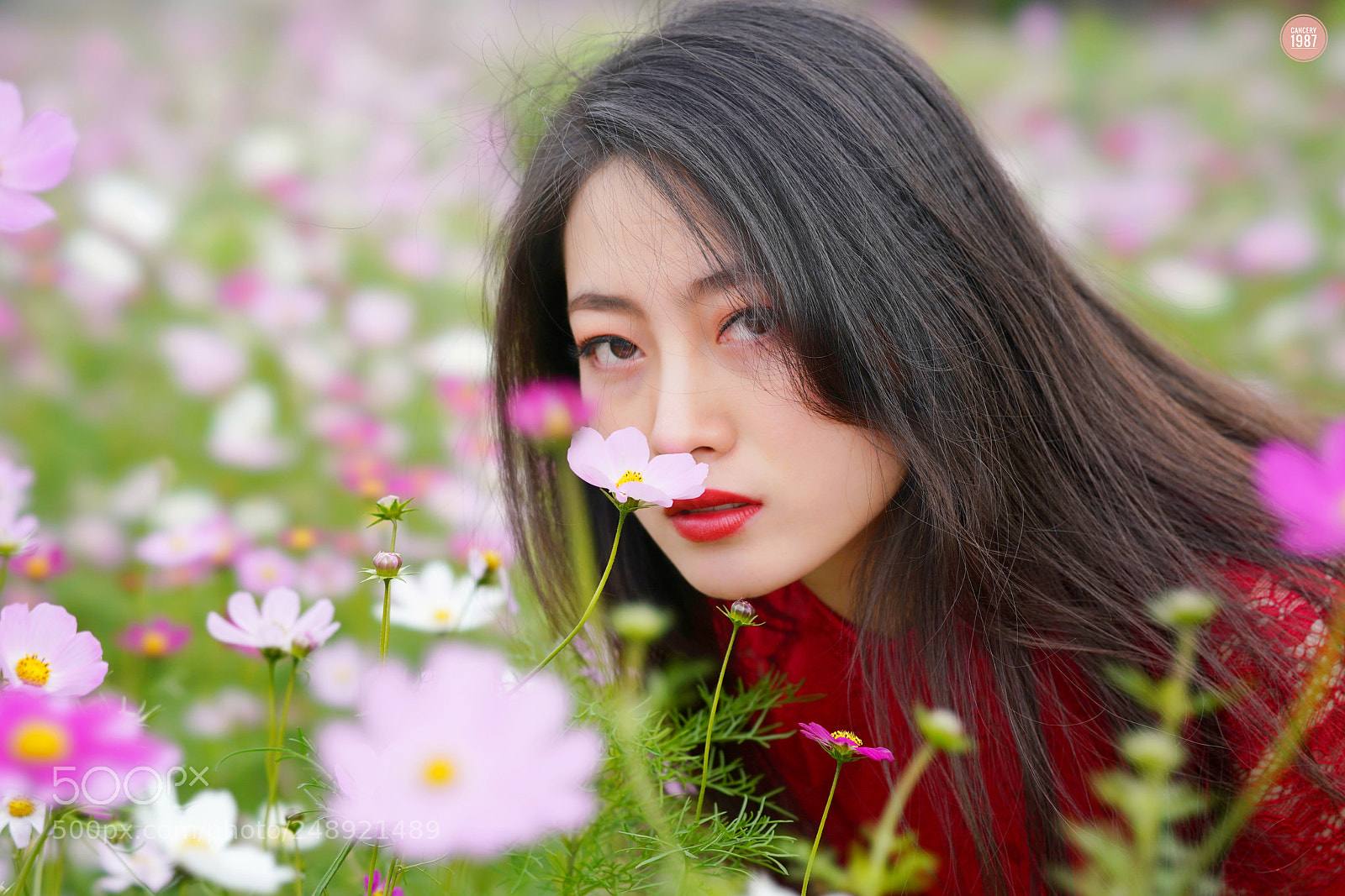 Sony a7R III sample photo. Untitled photography