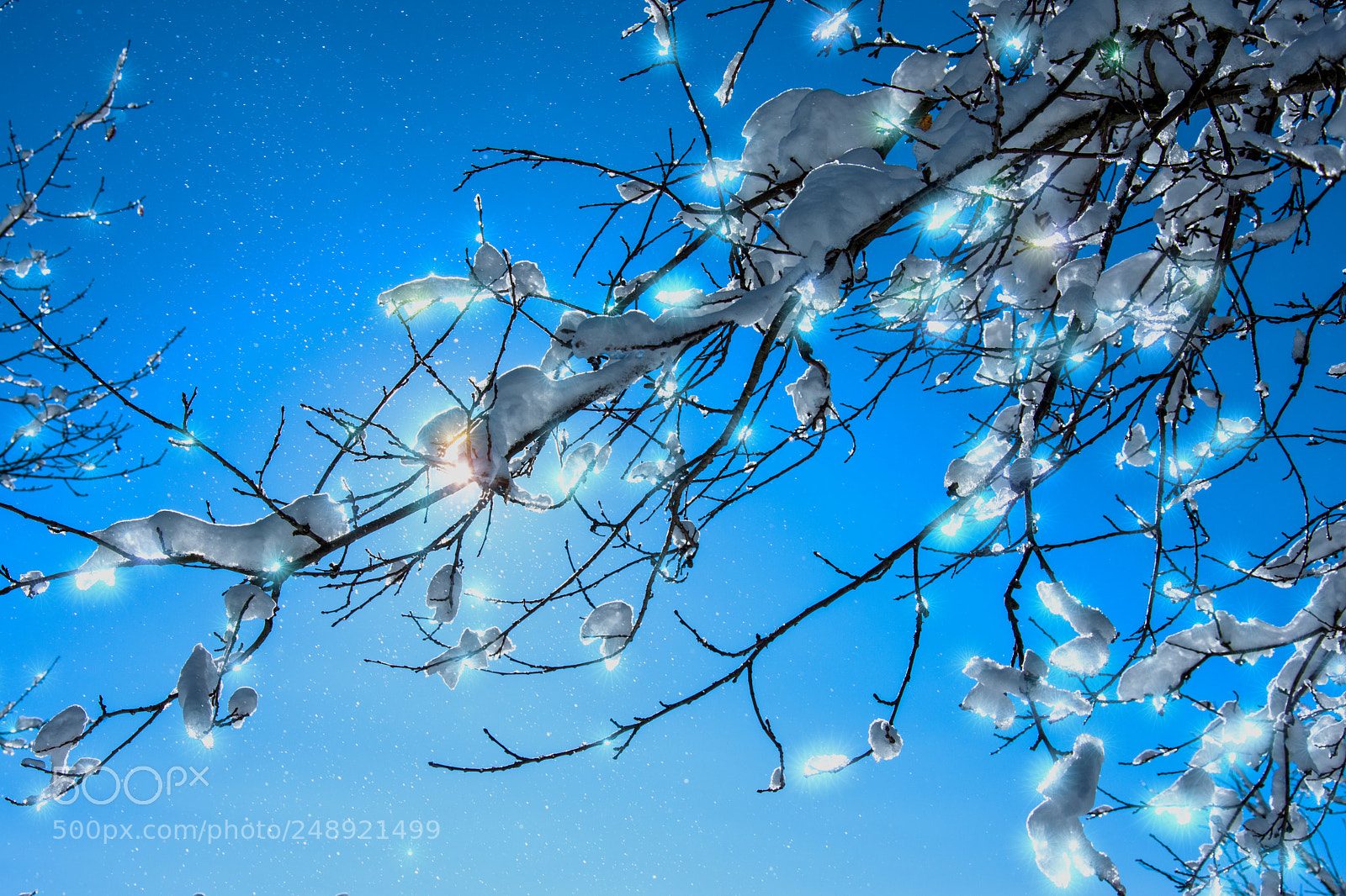 Nikon D7200 sample photo. Light reflections photography