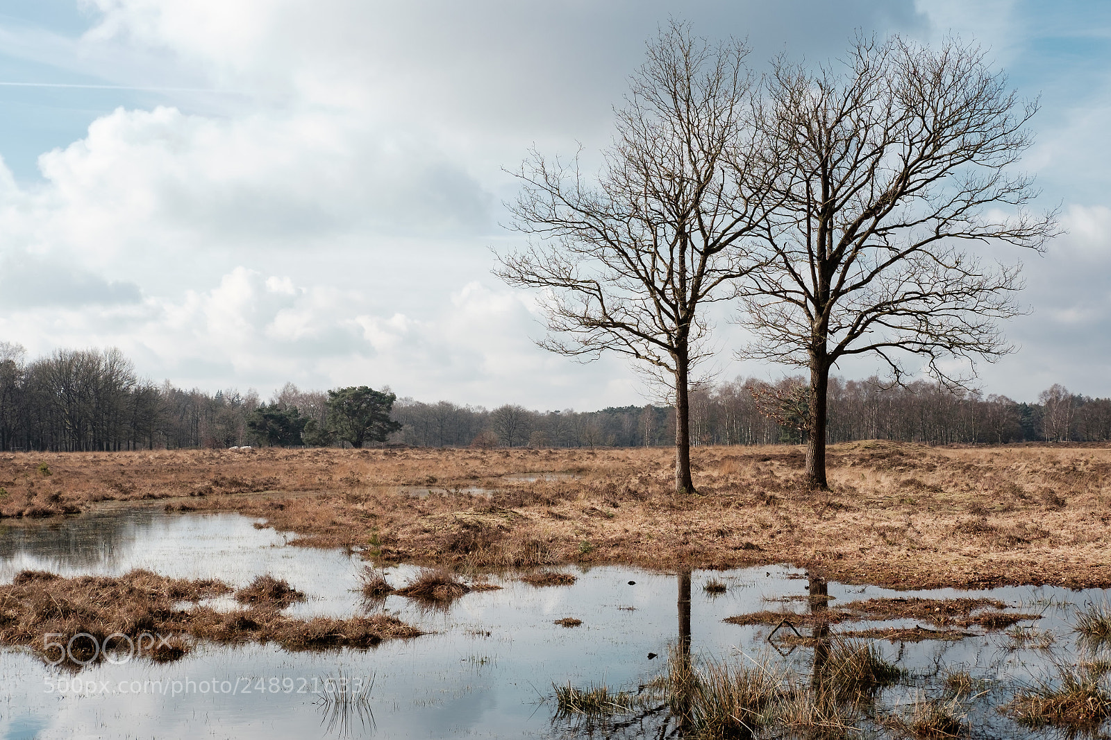 Fujifilm X-E2 sample photo. End of winter.nl photography