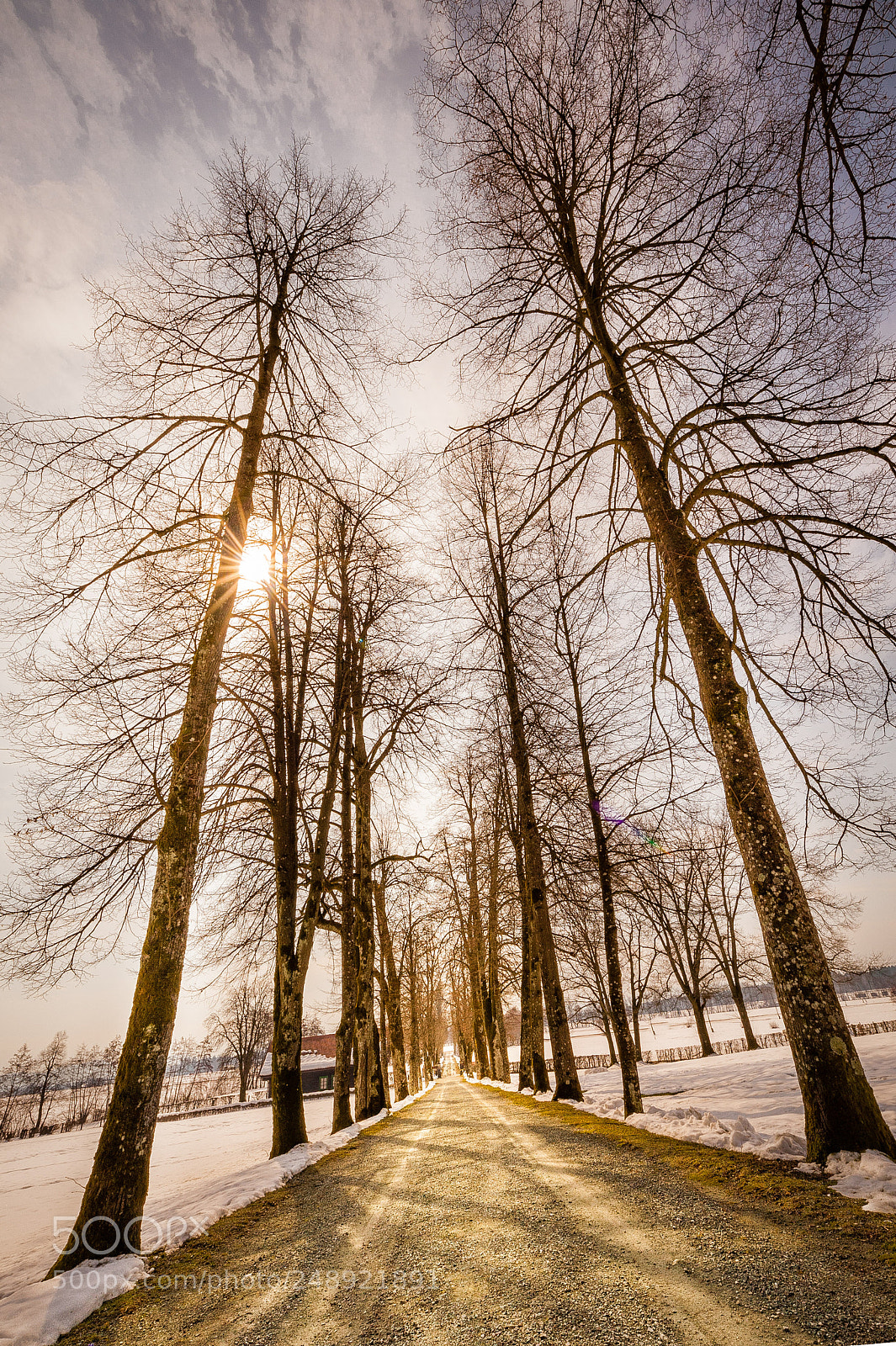 Nikon D700 sample photo. Walk between giants photography