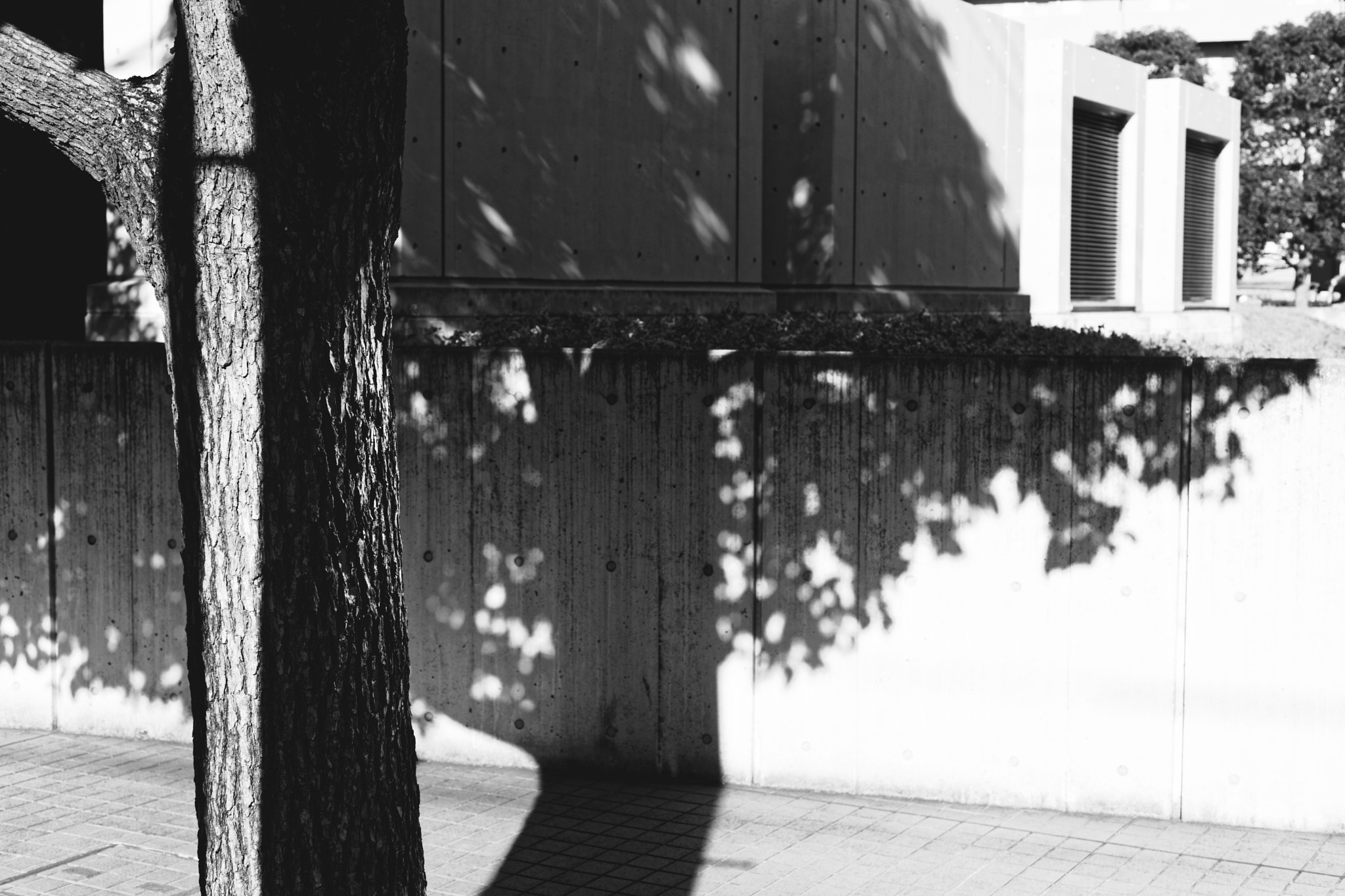 Nikon D750 + Nikon AF Nikkor 50mm F1.8D sample photo. I will leave that to your imagination#112 photography