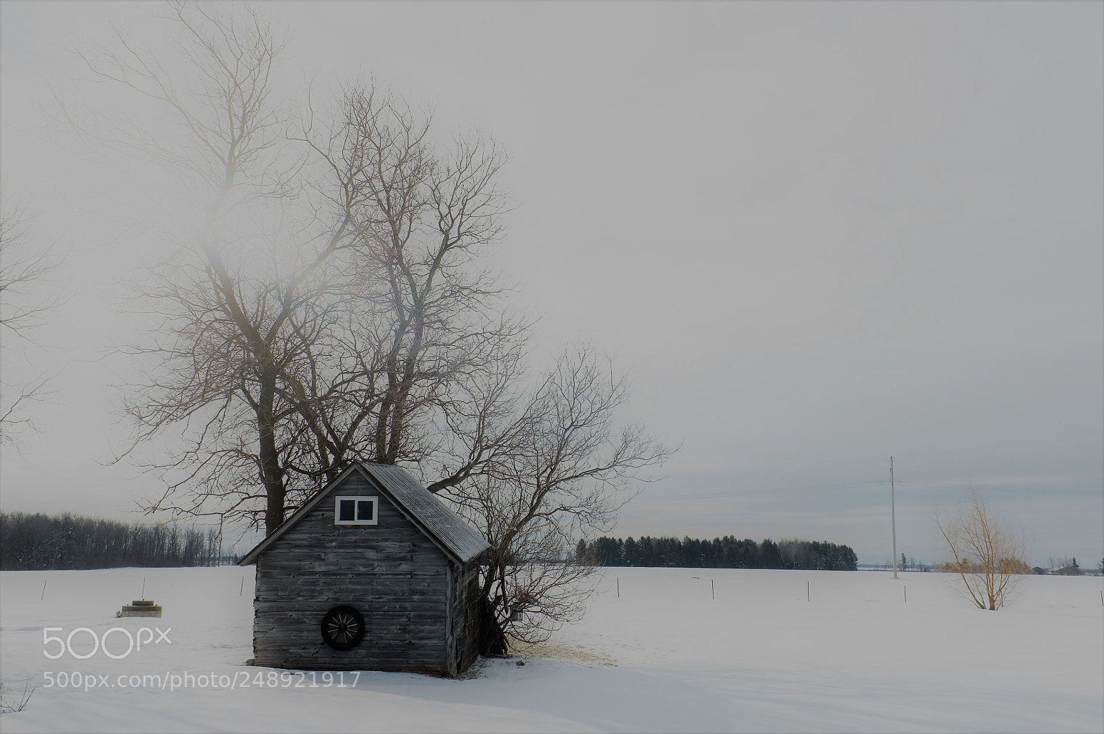 Fujifilm FinePix X100 sample photo. A winter scene photography