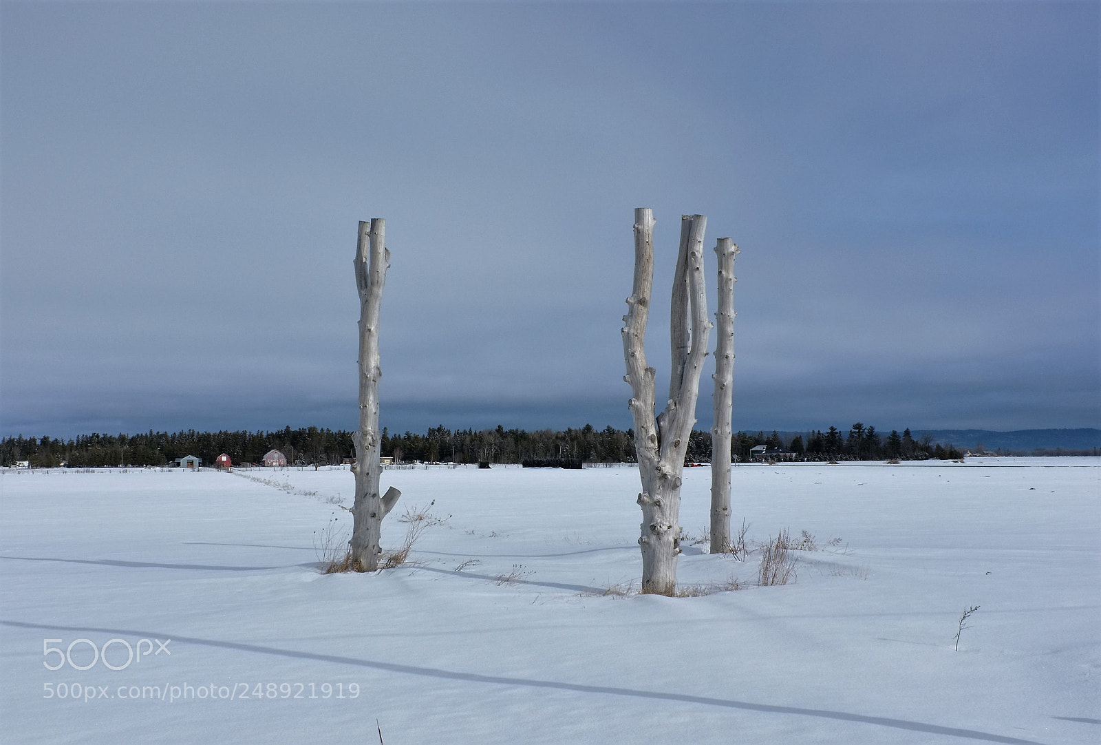 Fujifilm FinePix X100 sample photo. Three sticks photography