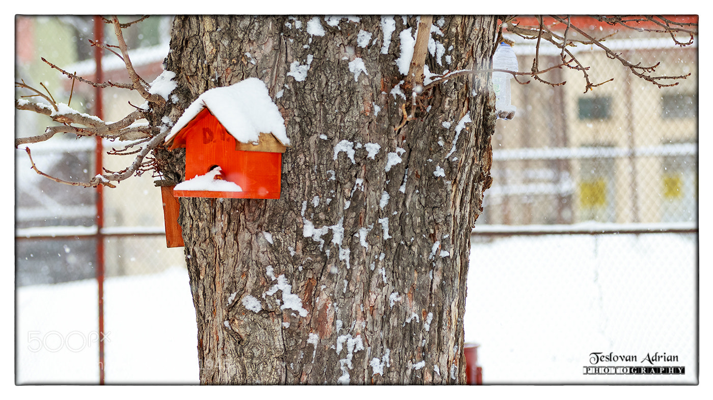Canon EOS 7D Mark II sample photo. Houses photography