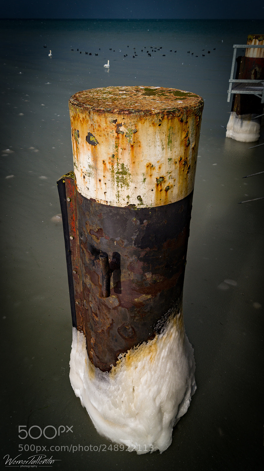 Sony SLT-A58 sample photo. Untitled photography