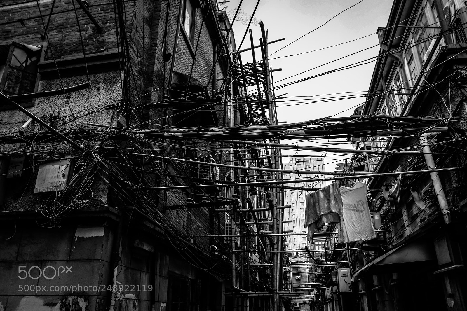 Canon EOS 80D sample photo. Life photography
